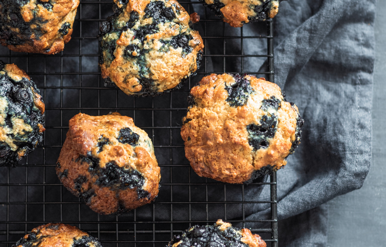 Blueberry Kefir Muffins